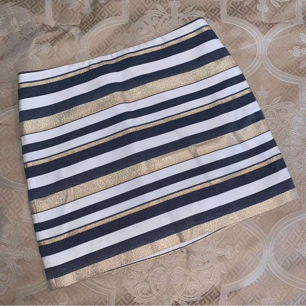J. Crew Skirt
